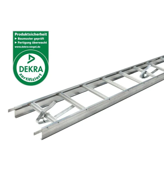 Dachleiter – DEKRA geprüft